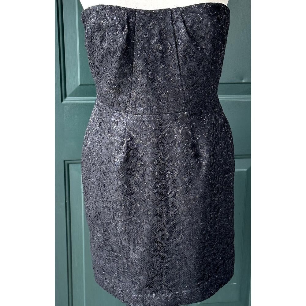 J. Crew Sz 10 Black Lace Strapless Sparkle LBD Event Cocktail Whimsigoth Goth